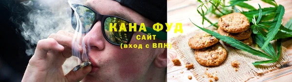 дживик Верхний Тагил