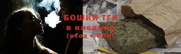 дживик Верхний Тагил