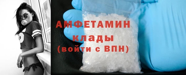 гидра Верея