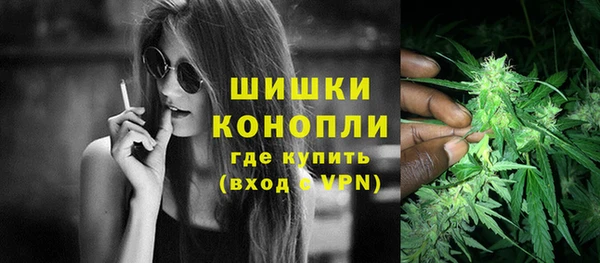 дживик Верхний Тагил
