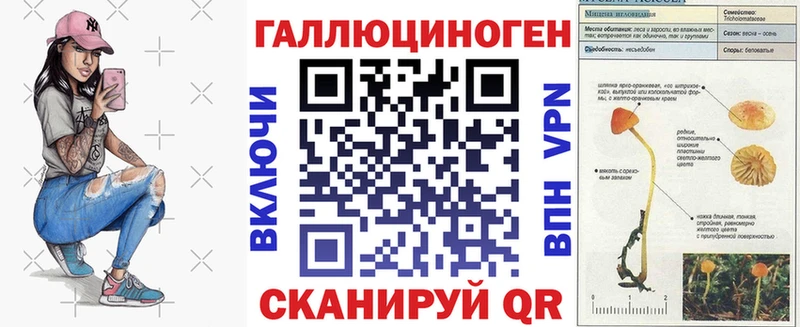 Псилоцибиновые грибы GOLDEN TEACHER Курган