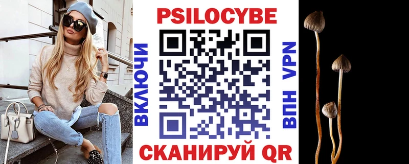 Псилоцибиновые грибы Psilocybine cubensis  дарнет шоп  Курган 